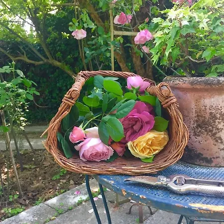 Bed and breakfast Sottoalfico