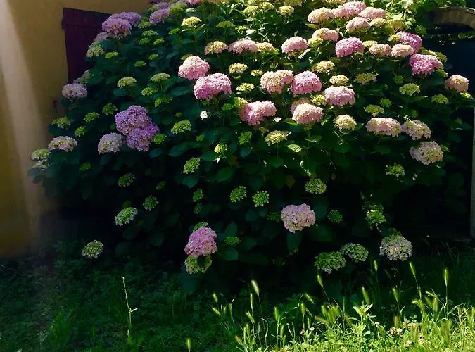 B&B Sottoalfico 리미니