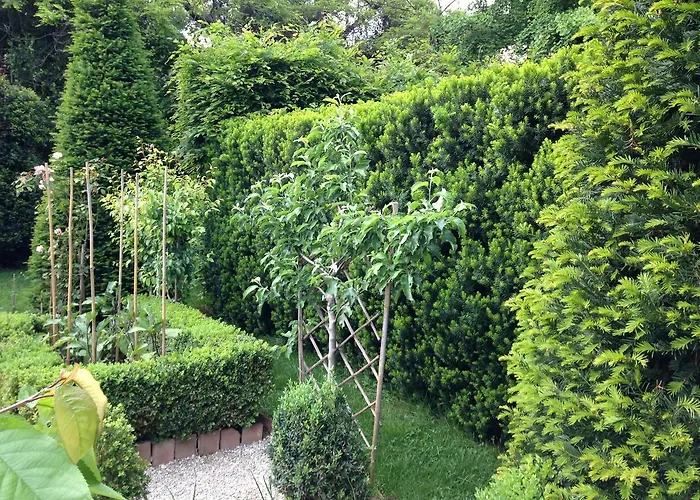 B&B Sottoalfico 리미니