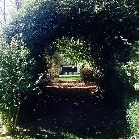 ベッド・アンド・ブレックファスト Sottoalfico