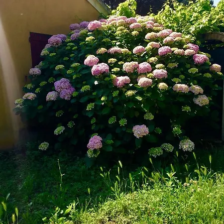 Bed and Breakfast Sottoalfico Ρίμινι