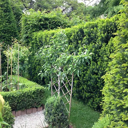 ベッド・アンド・ブレックファスト Sottoalfico リミニ