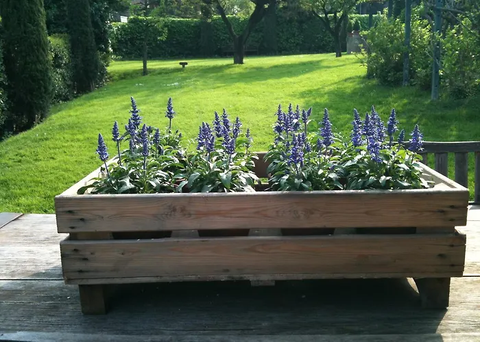 住宿加早餐酒店 Sottoalfico 里米尼