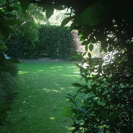 Bed & Breakfast Sottoalfico 2*