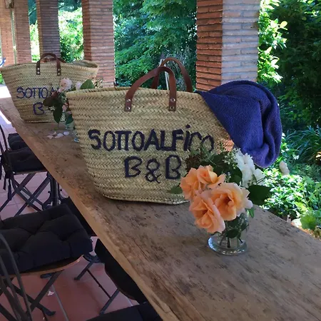 Sottoalfico