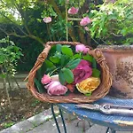 Bed & Breakfast Sottoalfico