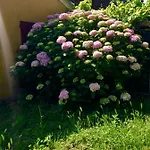 Bed & Breakfast Sottoalfico Rimini