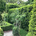 Bed & Breakfast Sottoalfico Rimini