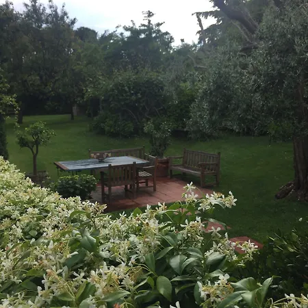 Sottoalfico 2*